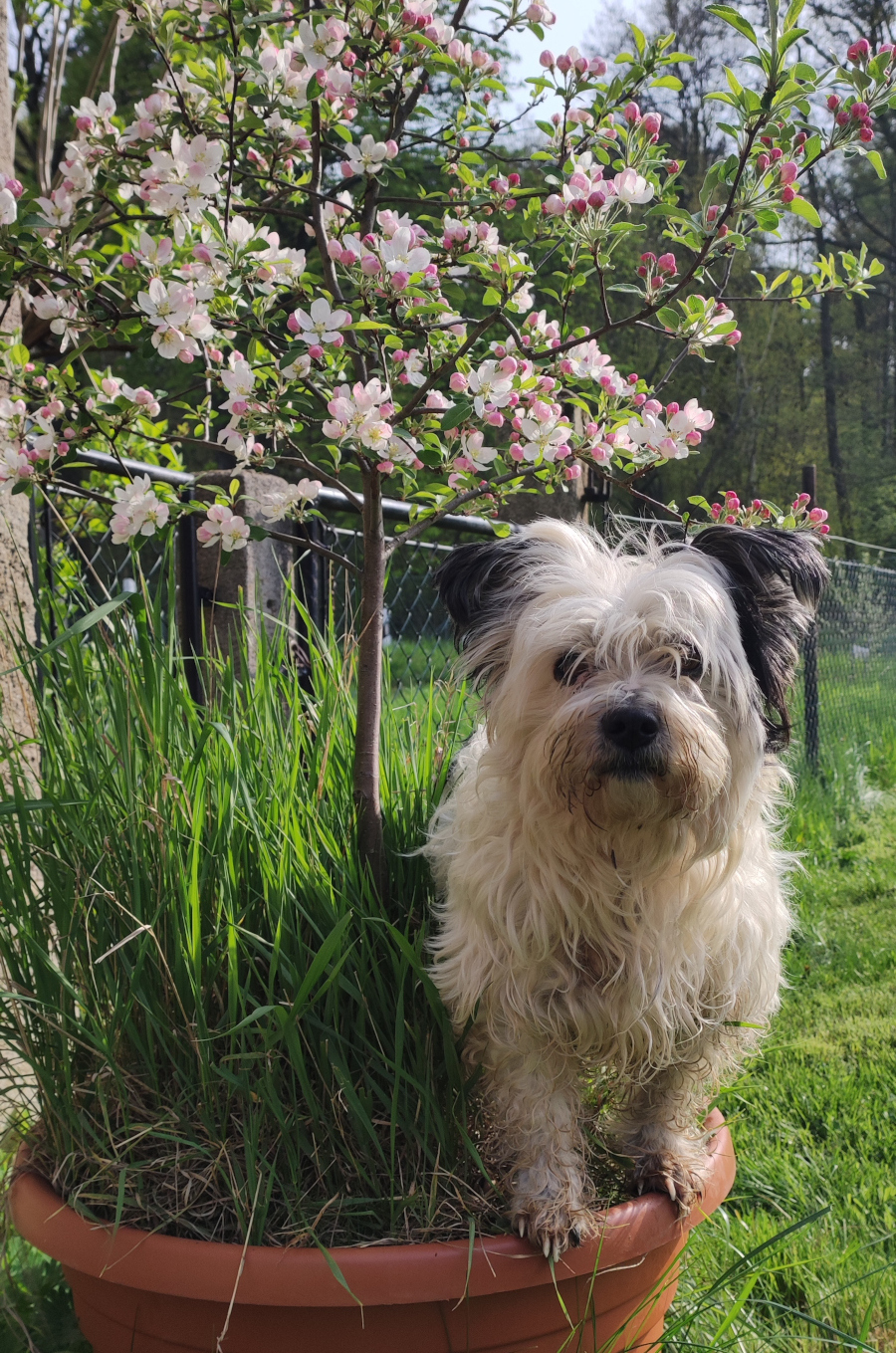 Unser Maskotchen Pupi